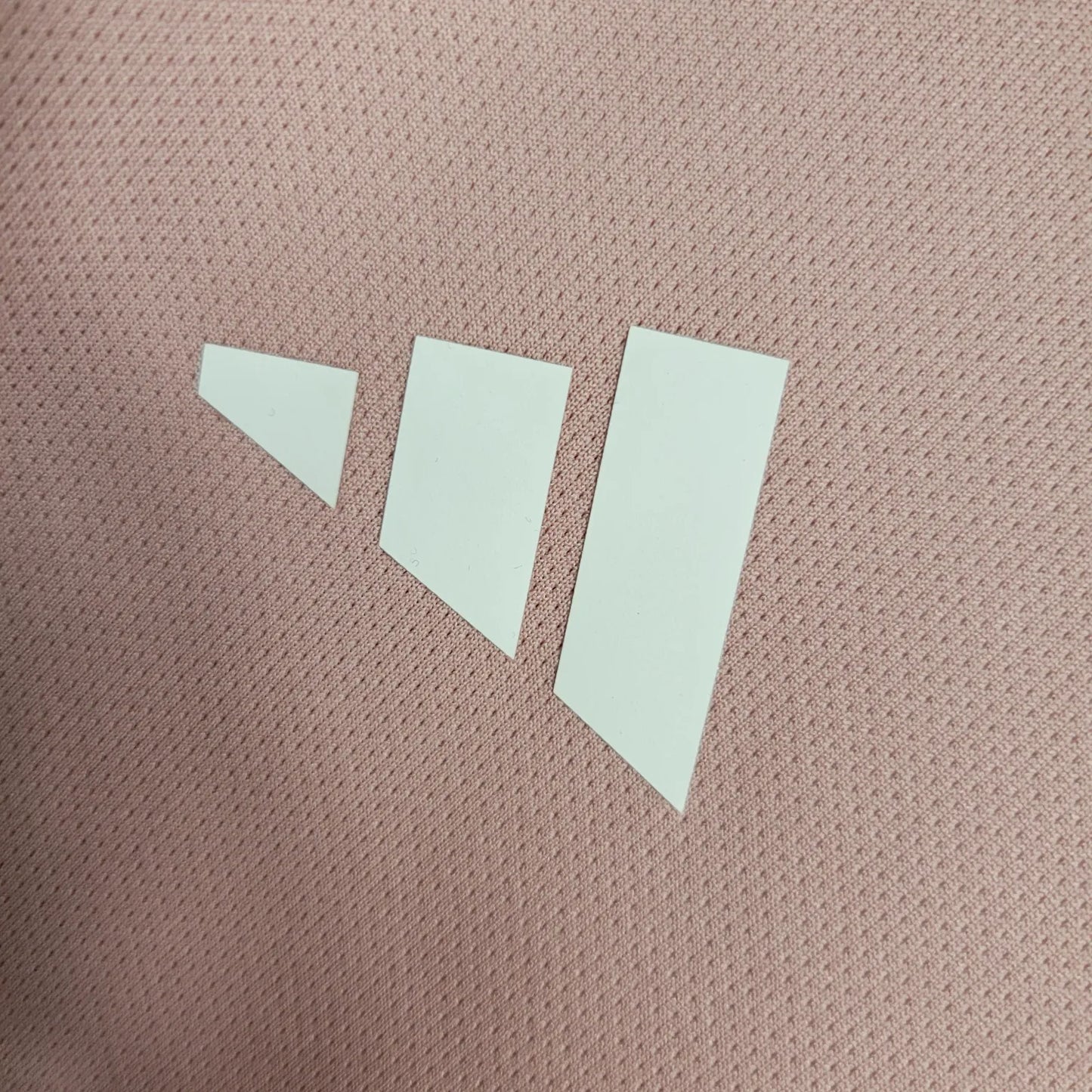 23-24 Lyon Training Fans Jersey
