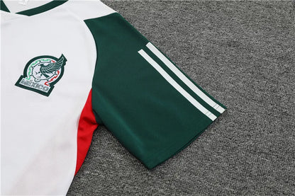 23-24 Mexico Short Sleeve Training Suit