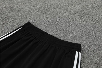 23-24 Olympique Lyonnais Short Sleeve Training Suit