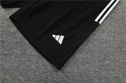 23-24 Olympique Lyonnais Short Sleeve Training Suit