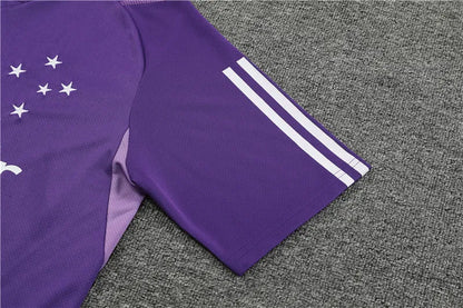 23-24 Cruzeiro Esporte Short Sleeve Training Suit