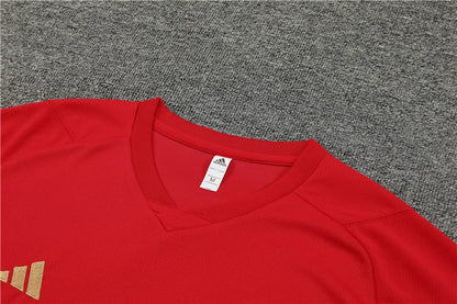 23-24 Arsenal Training Short Sleeve Suit