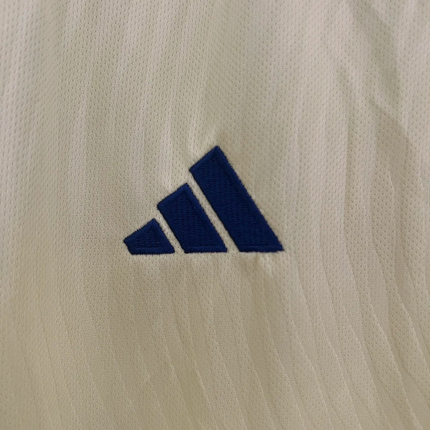 2024 Sweden Home Fans Jersey