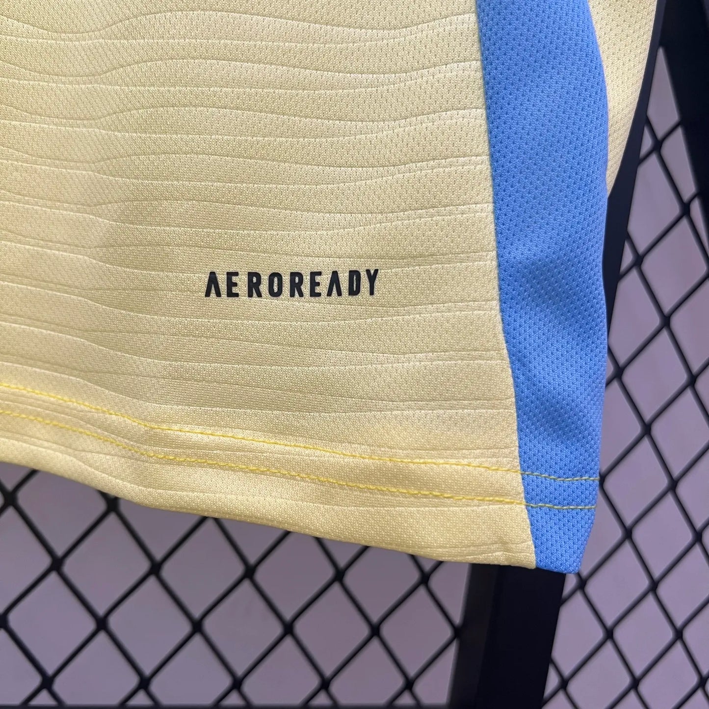 2024 Sweden Home Fans Jersey