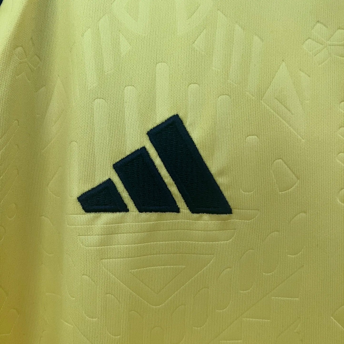 2024 Jamaica Home Fans Jersey