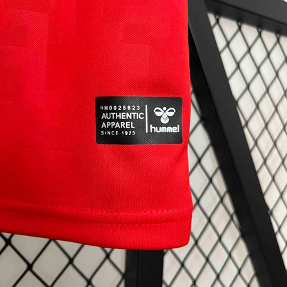 2024 Denmark Home Fans Jersey