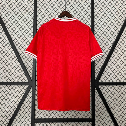 2024 Denmark Home Fans Jersey
