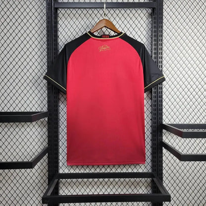 24-25 Vitoria Red Fans Jersey