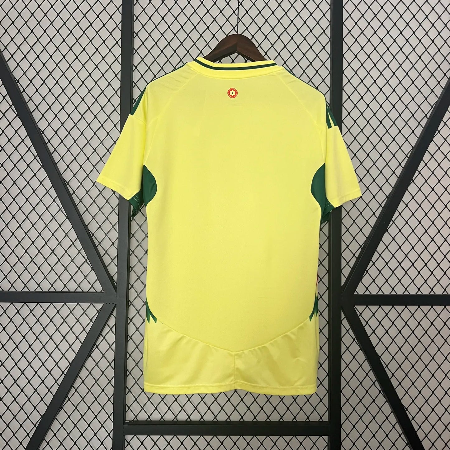 2024 Wales Away Fans Jersey