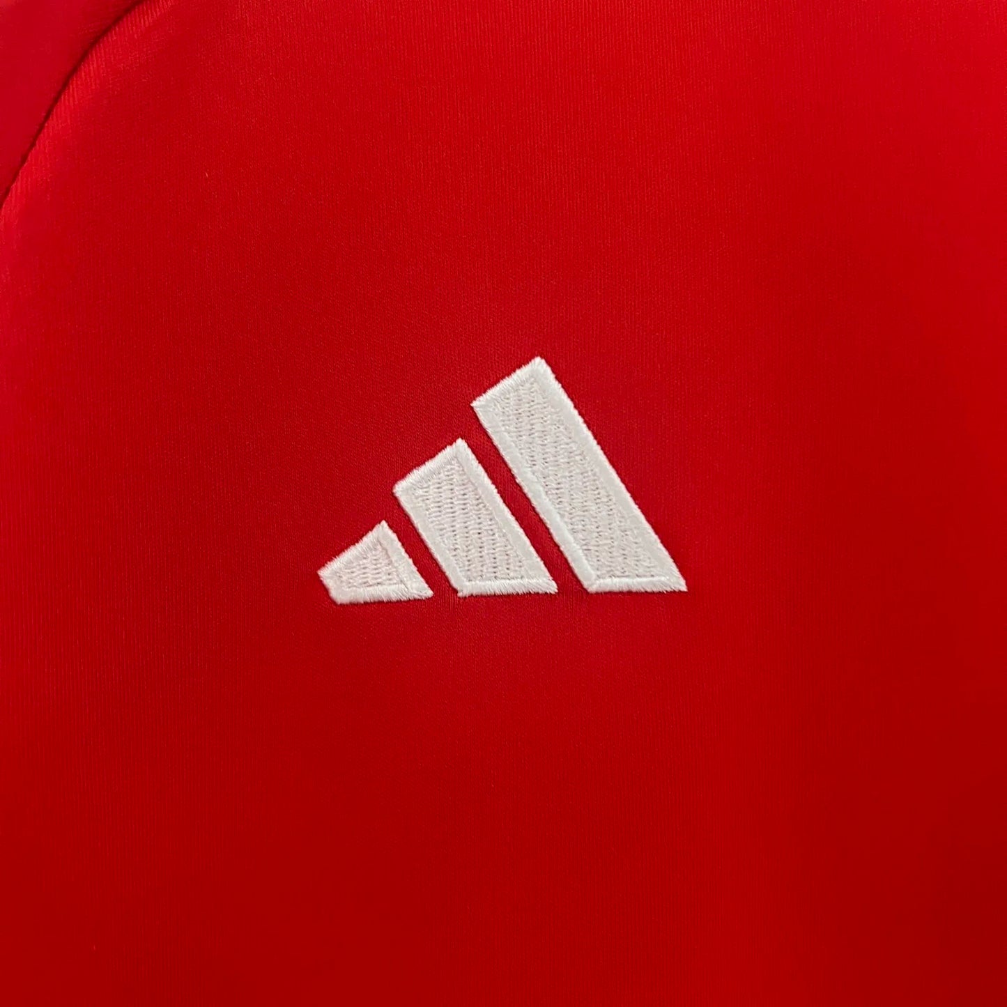 2024 Wales Home Fans Jersey