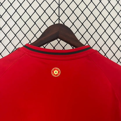 2024 Wales Home Fans Jersey