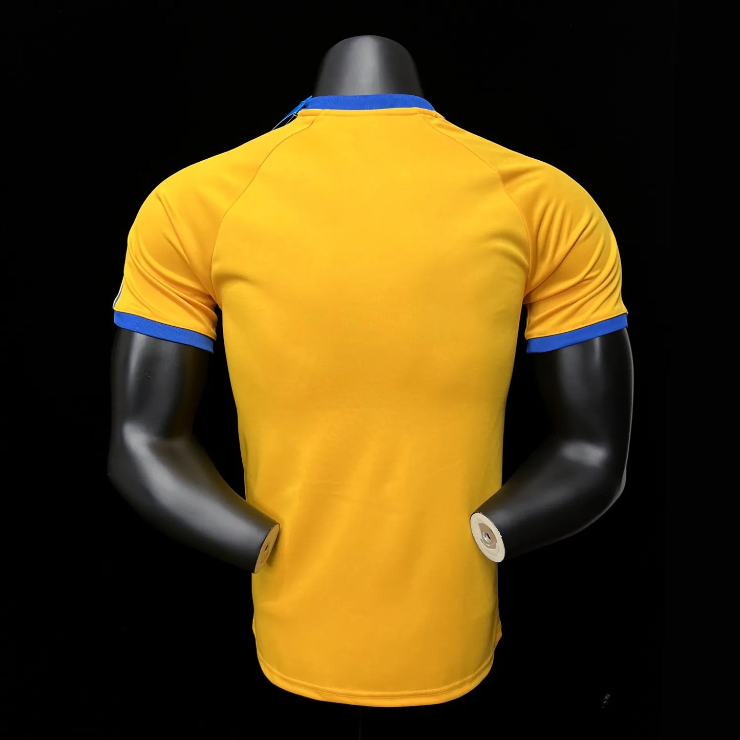 23-24 Tigres UANL Comemorativa Fans Jersey