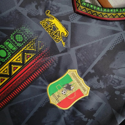 23-24 Mali Third Fans Jersey