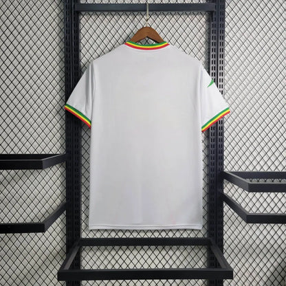 23-24 Mali Africa Cup Home Fans Jersey